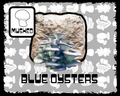 Blue Oyster Mushroom Grow Block