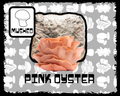 Pink Oyster Mushroom Grow Block
