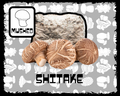 Shitake Mushroom Grow Block